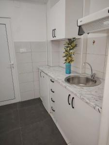 a white kitchen with a sink and a potted plant at Apartmani Dream 3 in Šušanj