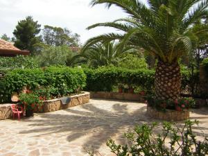a palm tree in a garden with flowers and plants at Casa Lucia in Capo Comino