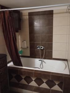 a bathroom with a bath tub with a shower at Αρχωντικα στην Τρiχονιδα in Agrinio +18 photos