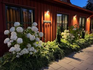 Zahrada ubytování Kvibergs Vandrarhem - Hostel