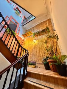 een trap met potplanten aan de muur bij Samba Guesthouse in Porto