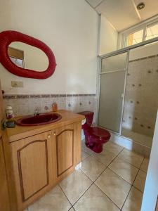 TamaniqueにあるCasa Tropical Kaylaniの洗面台、トイレ、鏡のあるバスルーム