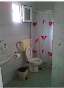 a bathroom with a toilet and a shower curtain with flowers at Aidonofolies in Koukounaries