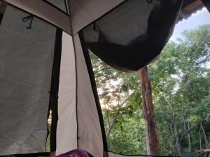 Fotografie z fotogalerie ubytování Casa chololo v destinaci Mazunte + 16 fotografií