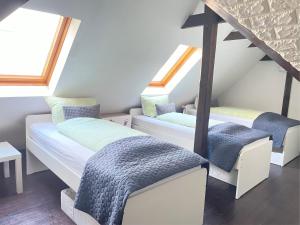 two beds in a attic room with skylights at Sinos Pension in Elmshorn