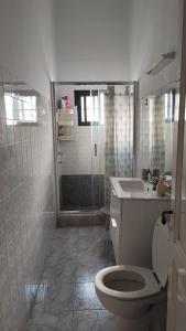 a bathroom with a toilet and a sink and a shower at Casa El Balcón de La Punta in Hermigua +30 photos