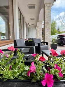 a group of pink flowers on a patio at Apartment Joanne in Rogachevo