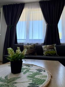 a living room with a couch and a table with a plant at Apartment Joanne in Rogachevo