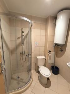 a bathroom with a shower and a toilet and a sink at Daisy Studios Harmony Hills in Rogachevo +9 photos