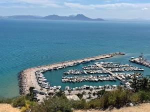 an aerial view of a marina with boats in the water at The Blue & White Perle 2 in Sidi Bou Saïd