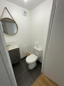 un bagno con un water, un lavandino e uno specchio di 14th view Paris a Malakoff Altre 6 foto