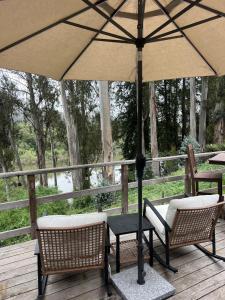 CorralitosにあるHidden Lake House With Hot Tub & Views!のパティオ(椅子2脚、パラソル付)