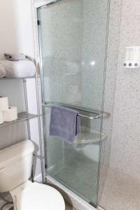a bathroom with a glass shower stall with a toilet at Bella Paradiso 13 King Bed Studio Walk to Downton in Eureka Springs