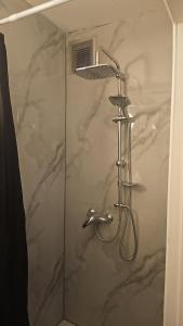 a shower with a shower head in a bathroom at Studio régence in Liège +25 photos