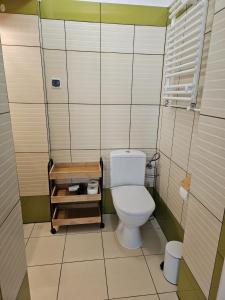a small bathroom with a toilet in a stall at Domki u Magdy in Ustka