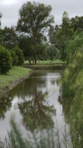 a body of water with a tree in the background at Casa Acuario in Mercedes