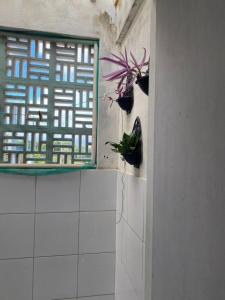 Fotografie z fotogalerie ubytování zona norte Natal Kit Net próximo Norte Shopping v destinaci Natal + 20 fotografií