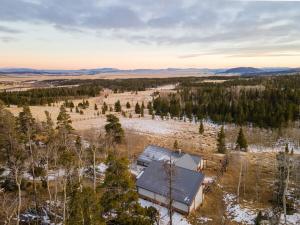 an aerial view of a house in a field with trees at Fairplay Coyote Cabin in Fairplay
