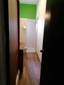 a bathroom with a toilet and a green wall at Amplios y cómodos apartamentos en Playa del Carmen in Playa del Carmen +20 photos