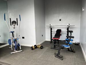 Fitness centrum a/nebo fitness zařízení v ubytování Nimbus Nook Apartments, GRA Ikeja, Lagos