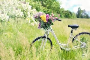 a bike with a basket filled with flowers in a field at Holiday Home in Be czna near Lake Kl pnicko in Bełzcna
