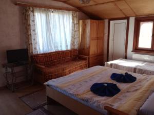 a bedroom with two beds and a couch and a television at Riverlyn Guest House in Ribarica +25 photos