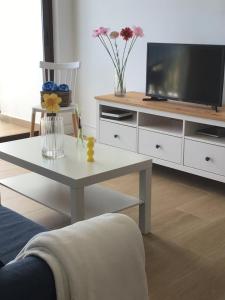 a living room with a coffee table and a tv at Huerta Nueva 2º Izquierda in Santa Cruz de la Palma