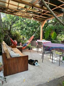 Zahrada ubytování Apartamentos Otorongo Cuenca Ecuador