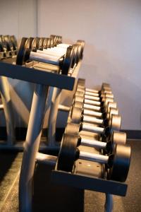 Fitness centrum a/nebo fitness zařízení v ubytování Hotel Blackfoot