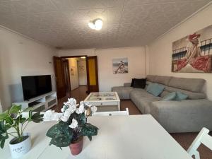 TV a/nebo společenská místnost v ubytování Piso Grande Amplio para grandes grupos 4 Dormitorios 2 baños,Asc 4AC y WIFI