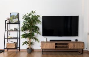 TV a/nebo společenská místnost v ubytování Alojamiento junto al Río con Parking en Ransol I AndBnB