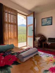 Fotografie z fotogalerie ubytování Prespa`s Balcony Guesthouse v destinaci Gorica e Vogël