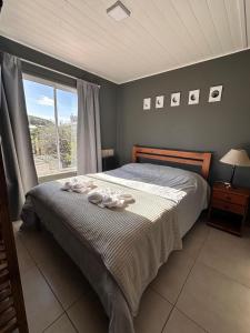 シエラ・デ・ラ・ベンターナにあるPillahuinの窓のある大きなベッドのある寝室