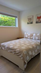 een slaapkamer met een bed en een raam bij Zenergie d'Orford in Eastman +8 foto's