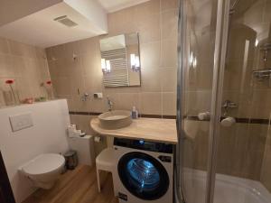 Koupelna v ubytování Villa Park - apartament + 15 fotografií