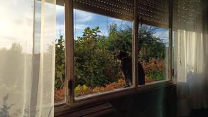 Zahrada ubytování Casa Rosa 8