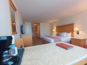 Postel nebo postele na pokoji v ubytování Hotel Palacio Azteca