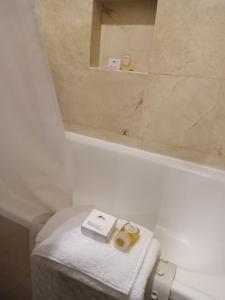 Koupelna v ubytování Hotel Palacio Azteca