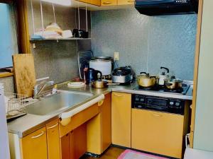 Kuchyň nebo kuchyňský kout v ubytování Guesthouse IKETA + 37 fotografií