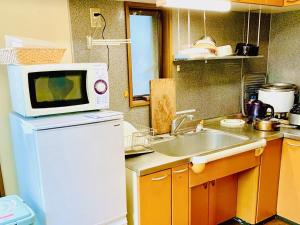 Kuchyň nebo kuchyňský kout v ubytování Guesthouse IKETA
