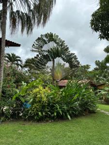 Giardino di A Piece of Paradise