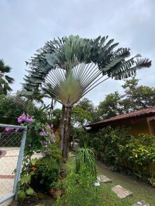 Giardino di A Piece of Paradise