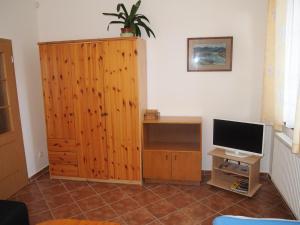 TV a/nebo společenská místnost v ubytování Apartmány Tisá 452
