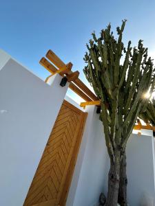 Fotografia z galérie ubytovania Cactus Suites vo Faliraki