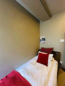 Un dormitorio con una cama con una almohada roja encima. en e-hostel 心斎橋 401, en Osaka