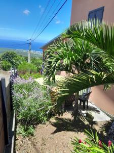 a view from the balcony of a house with a palm tree at Loc' Avirons 10 bis in Les Avirons