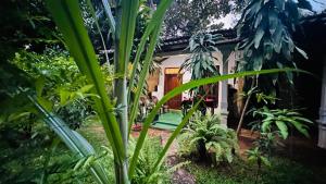 a garden with a house with a green door at Sigiriya Sachin Lodge in Sigiriya