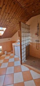 a large bathroom with a shower and a tiled floor at Maison de charme proximité ville in Saint-Joseph