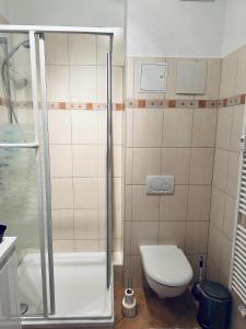 a bathroom with a shower and a toilet at DG City-Apartment in Spremberg
