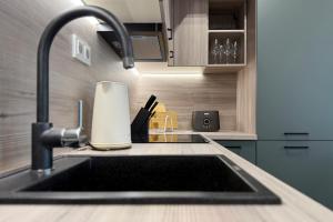 un lavello da cucina con dispenser di sapone accanto di Apartmán Klement B a Znojmo Altre 14 foto